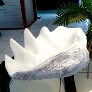 K&ouml;nnte beinhalten: Eine gro&szlig;e, wei&szlig;e, ge&ouml;ffnete Muschelschale als Skulptur mit einer glatten, konkaven Innenseite und einer strukturierten, rauen Au&szlig;enseite mit markanten, wellenf&ouml;rmigen Rippen entlang des Randes. Das Objekt ist einem riesigen Muscheltier nachempfunden.