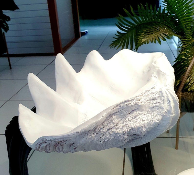 K&ouml;nnte beinhalten: Eine gro&szlig;e, wei&szlig;e, ge&ouml;ffnete Muschelschale als Skulptur mit einer glatten, konkaven Innenseite und einer strukturierten, rauen Au&szlig;enseite mit markanten, wellenf&ouml;rmigen Rippen entlang des Randes. Das Objekt ist einem riesigen Muscheltier nachempfunden.
