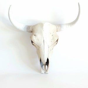 Resin Cow Skull, Skull, Animal Skull, Cow Skull, Boho Decor, Buffalo Skull, Faux Cow Skull, Cow Skull Australia, Bison Skull, Southwest,