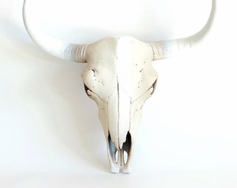 樹脂製牛の頭蓋骨、頭蓋骨、動物の頭蓋骨、牛の頭蓋骨
