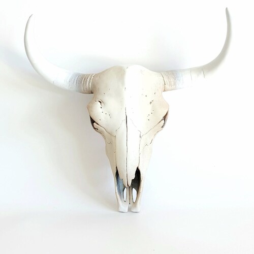 Resin Cow Skull Animal Boho Decor Australia - Cow Skull Wall Decor Australia Resin Cow Skull Animal Boho Decor Australia - Cow Skull Wall Decor Australia