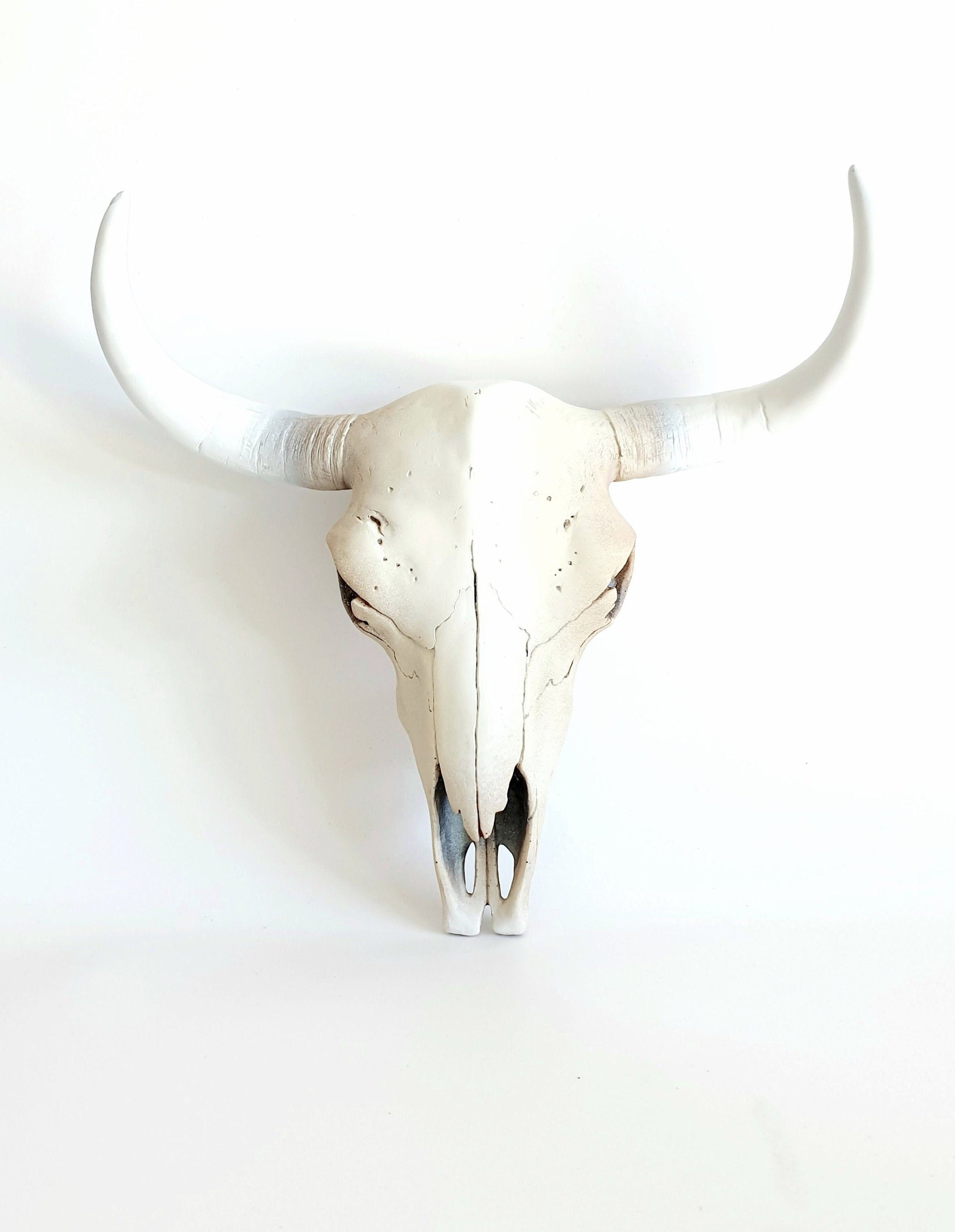 2 COW SKULL W BUFFALO home decor bone skull hanging 