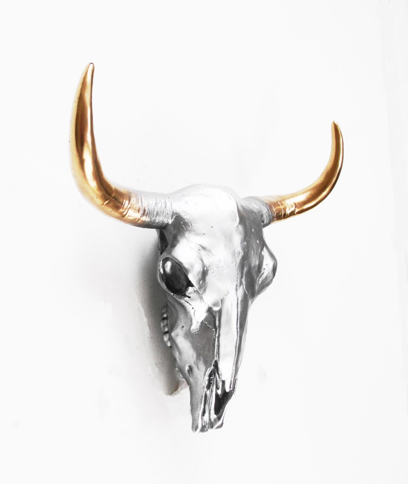 Cow Skull Faux Taxidermy Bison Skull Animal Skull Buffalo