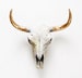 Cow Skull, Faux Cow Skull, Bison Skull, Animal Skull, Buffalo Skull, Faux Taxidermy, Skulls, Animal Skulls, Cow Skull Australia, Home Decor 