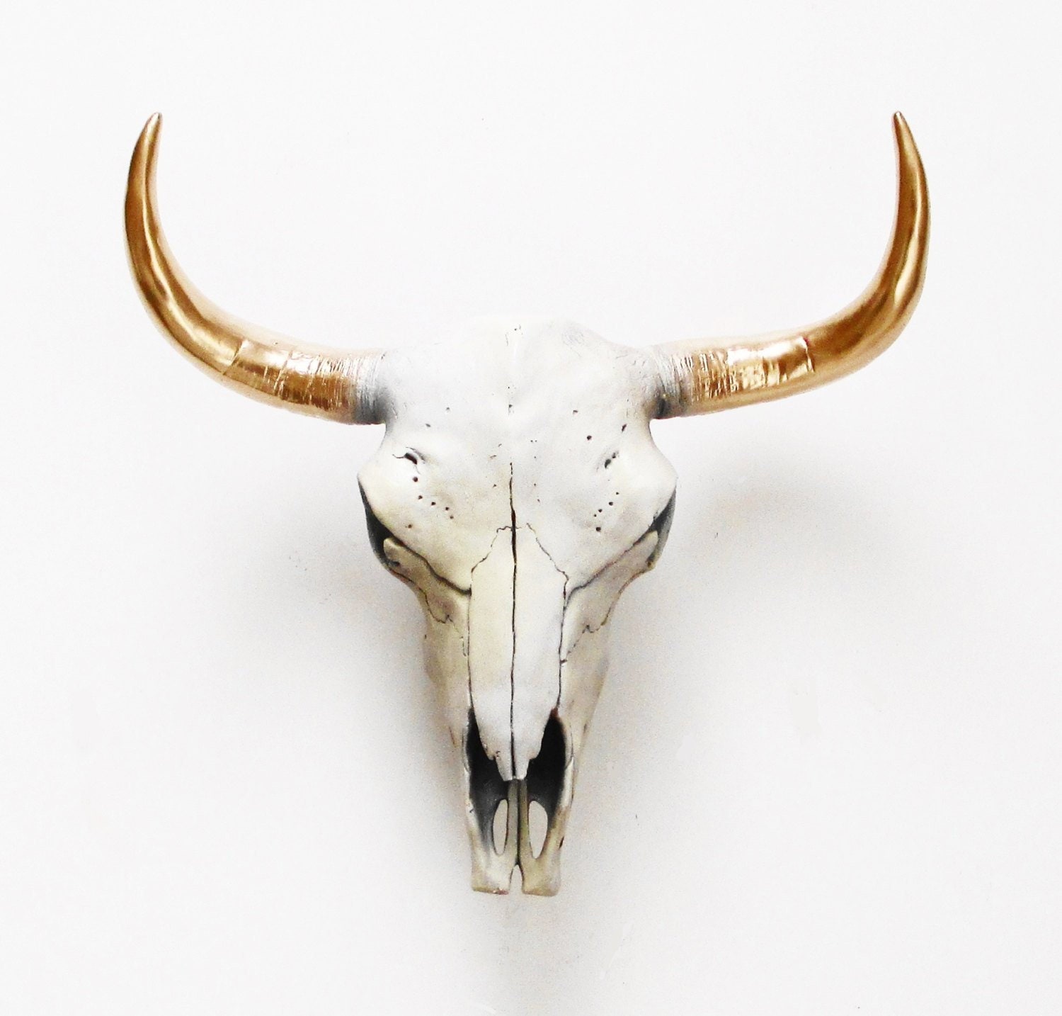 Cow Skull Faux Cow Skull Bison Skull Animal Skull Buffalo Etsy