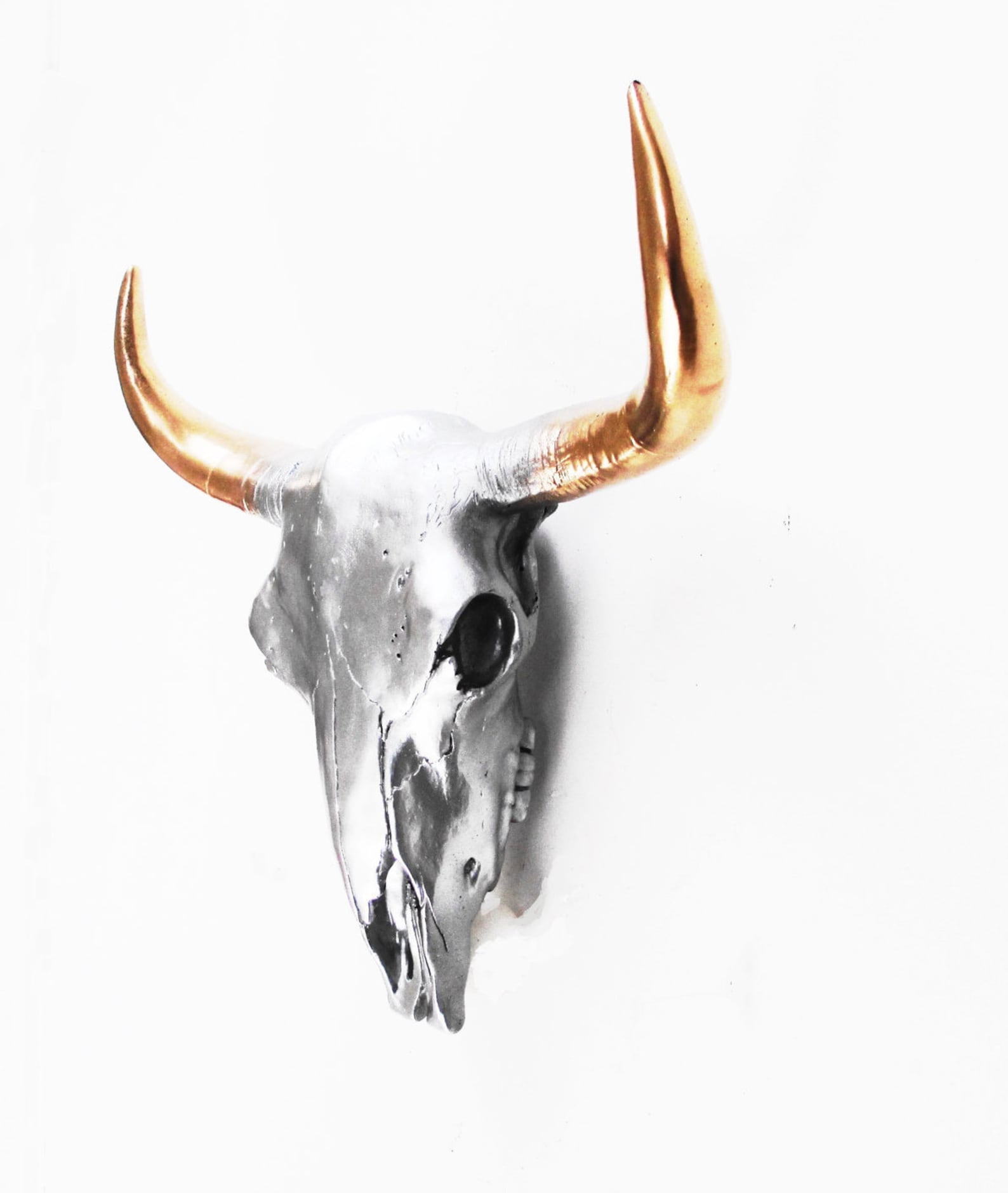 Resin Cow Skull Skull Animal Skull Cow Skull Boho Decor Etsy