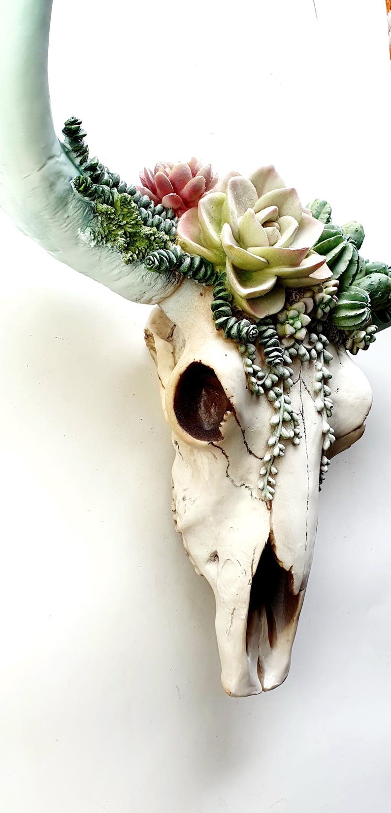 Resin Cow Skull with Succulents: Southwest Decor, Cowboy Ranch Art, Succulent Wall Art, image 2
