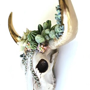 Resin Cow Skull with Succulents: Southwest Decor, Cowboy Ranch Art, Succulent Wall Art, image 3