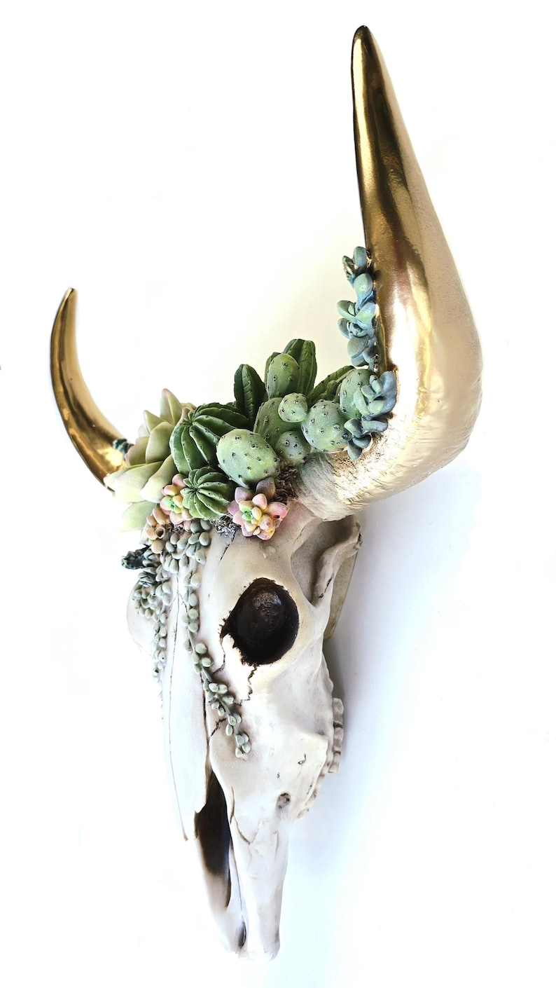 Resin Cow Skull with Succulents: Southwest Decor, Cowboy Ranch Art, Succulent Wall Art, image 3