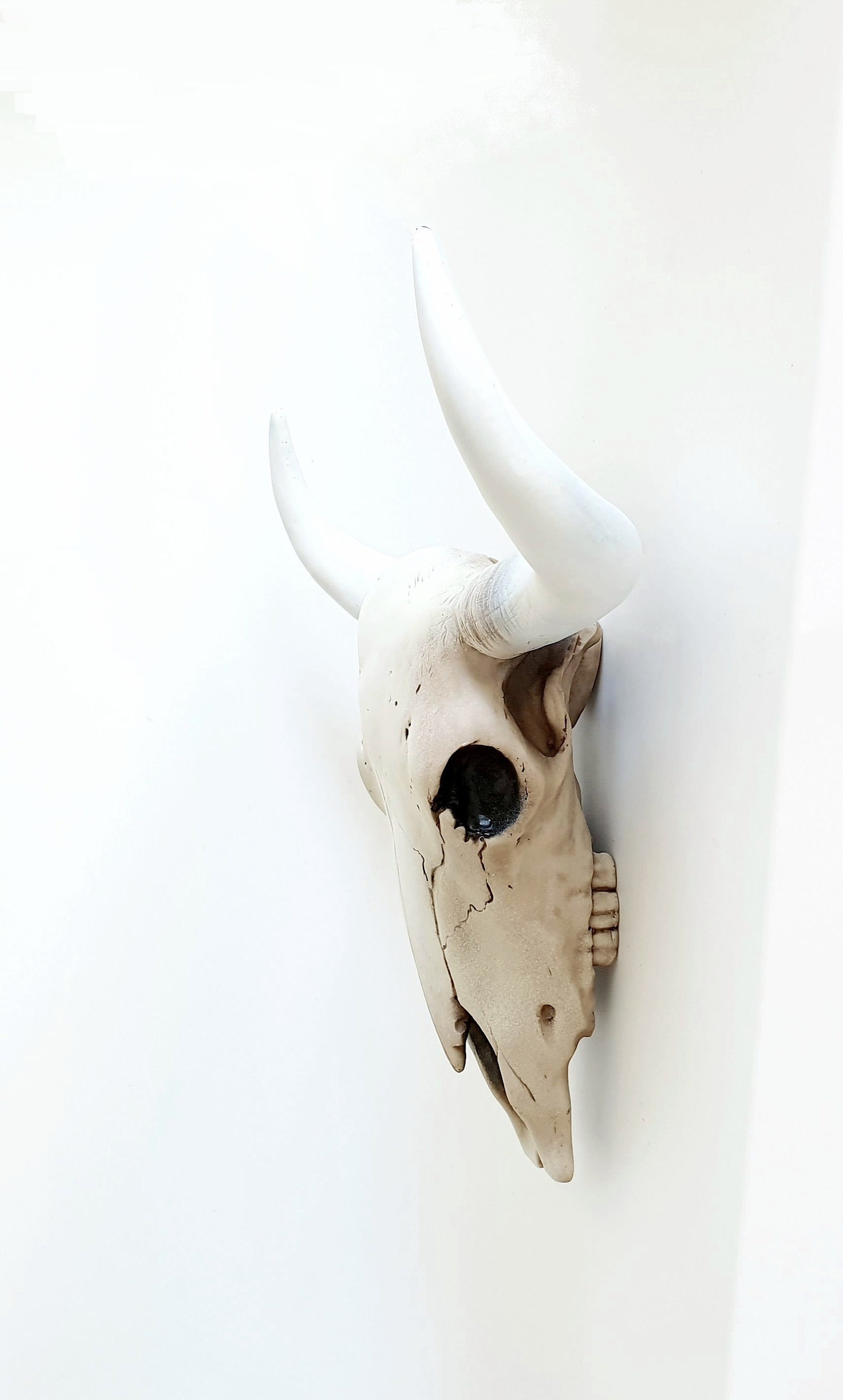 Resin Cow Skull Skull Animal Skull Cow Skull Boho Decor Etsy