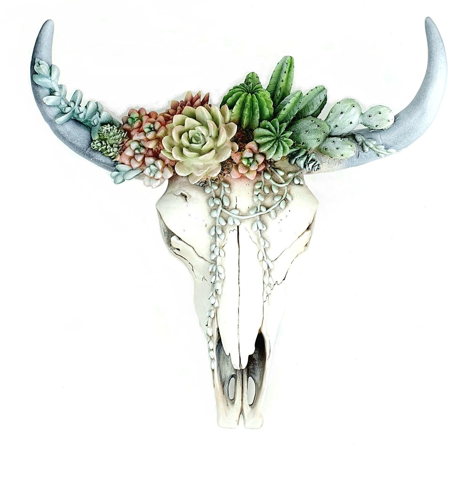 Cactus Succulent Cow Skull Bull Skull Animal Skull Cow Etsy