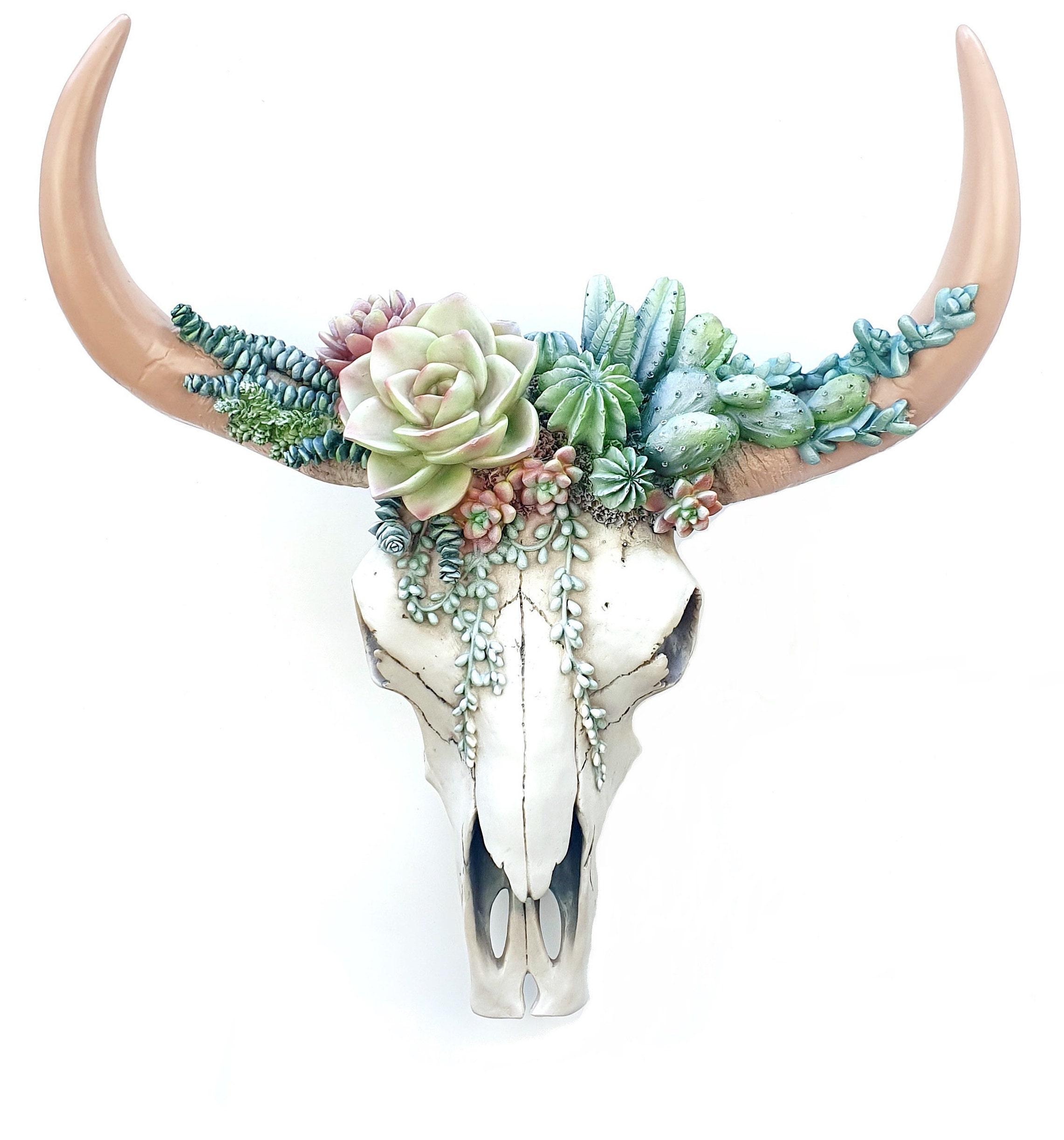 Cactus Bull Skull Cow Skull Southwest Decor Wall Cow Skull Etsy