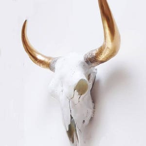 May include: A white cow skull with gold-painted horns. The skull is mounted on a white wall. The horns curve upwards and are a bright, metallic gold color. The skull has visible cracks and imperfections.