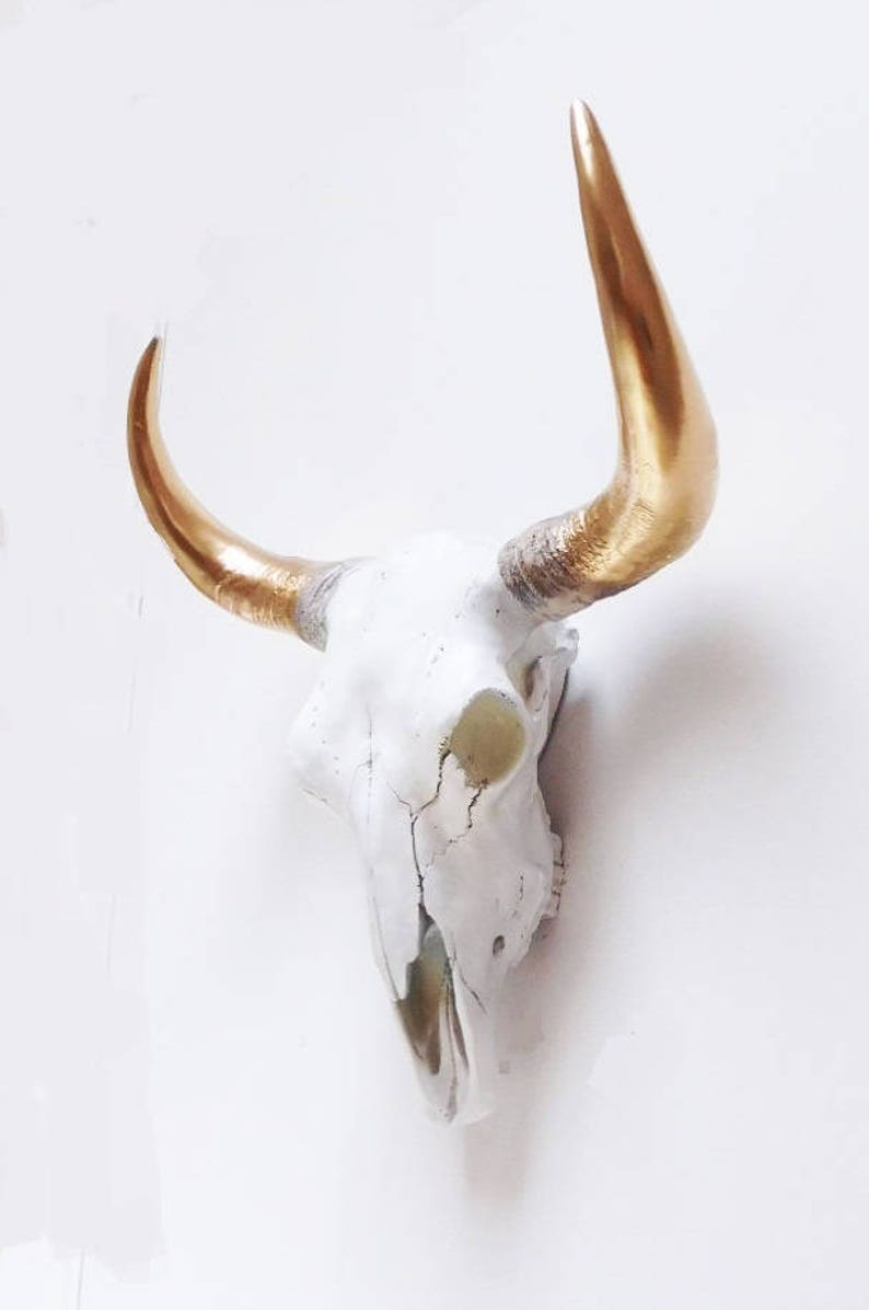 May include: A white cow skull with gold-painted horns. The skull is mounted on a white wall. The horns curve upwards and are a bright, metallic gold color. The skull has visible cracks and imperfections.