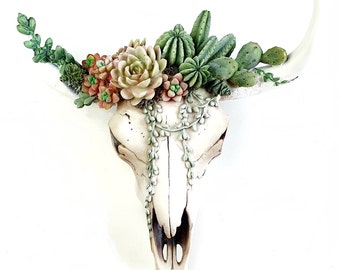 Succulent Cow Skull, Bull Skull, Skull, Cow Skull, Succulent Art, Southwest Decor, Cactus Home Decor, Cow Skull Wall Decor, Cow Skull Decor,