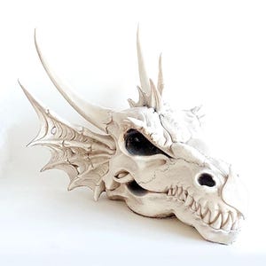May include: A white dragon skull sculpture featuring intricate bone textures, sharp teeth, deep eye sockets, and prominent horns. The creature has large, detailed side fins or ears extending from the back of the head, showcasing a weathered, fossilized appearance.