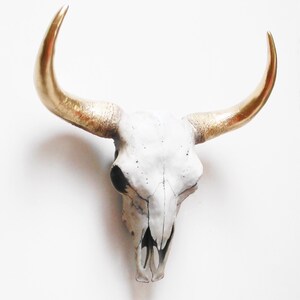 May include: A white cow skull with gold-painted horns. The skull has dark eye sockets and a detailed bone structure. This decorative piece is ideal for rustic or southwestern-themed home decor.