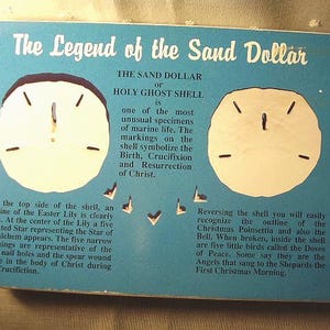 May include: A rectangular blue card titled The Legend of the Sand Dollar featuring two white sand dollar illustrations. The text explains the symbolism of the shell, mentioning the Holy Ghost Shell, the Birth, Crucifixion, and Resurrection of Christ.