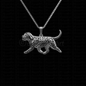 Collar de perro de agua español de plata de ley 925, regalo para amantes de los perros, collar para perros, joyas para mascotas, recuerdo de perro, joyas para animales familiares