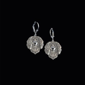 925 Sterling Silver Boykin Spaniel Earrings Gift For Dog Lovers Dog Earrings Pet Jewelry Dog Memorial Dog Keepsake Family Animal Jewelry Pet