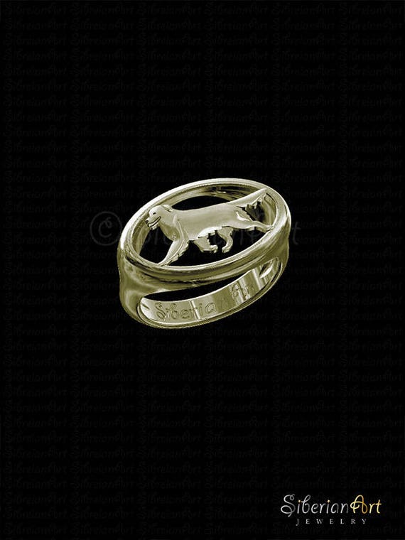 Australian top shepherd ring