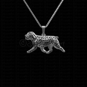 Collar de perro de agua español de plata de ley 925, regalo para amantes de los perros, collar para perros, joyas para mascotas, recuerdo para perros, regalo personalizado para mascotas