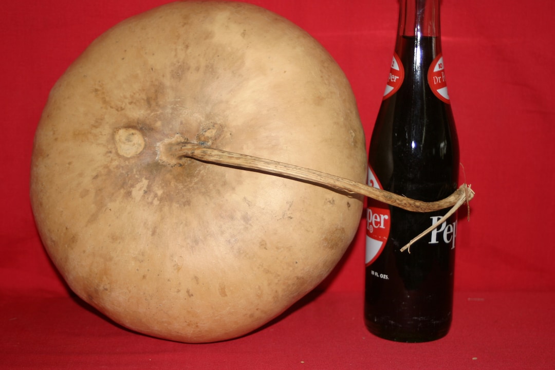 Group of 5 Canteen Gourds 7 up to 8 Etsy