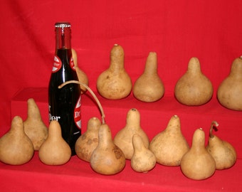 50  Mini Martin  Gourds ( Dried & Cleaned)