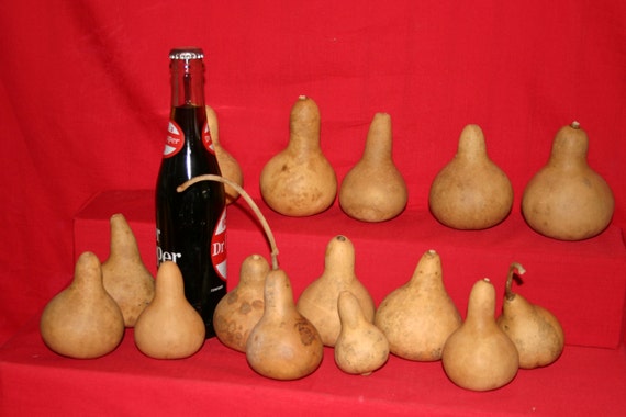 50  Mini Martin  Gourds ( Dried & Cleaned)