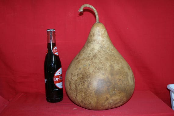 3 -  10 inch  Martin Gourds ( Dried & Cleaned)