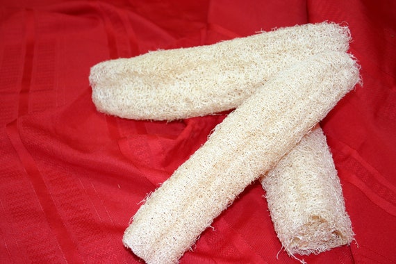 LOOFAH sponges 10" up ro 12" pieces all natural and grown on the farm group of 5 ( Dried & Cleaned)