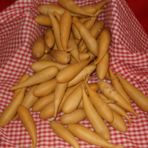 15 -Quality Banana Gourds 4-6&quot; ( Dried & Cleaned  )