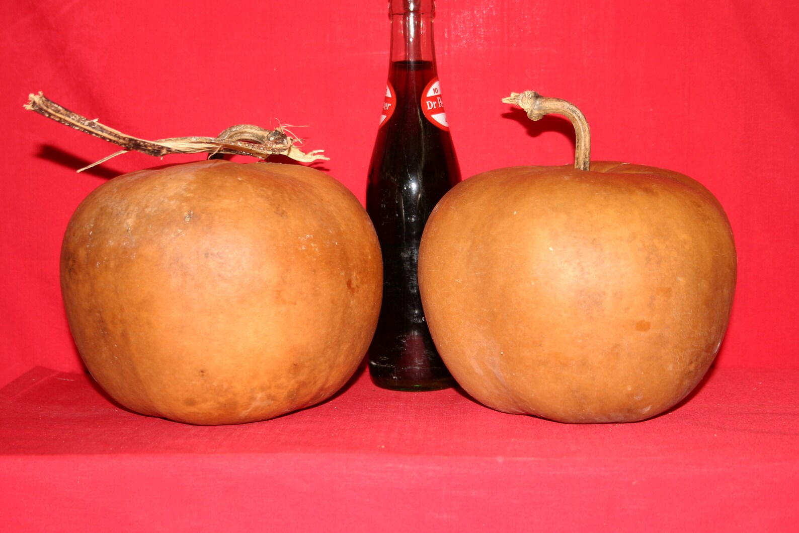 3 Apple Gourds Dried & Cleaned Etsy