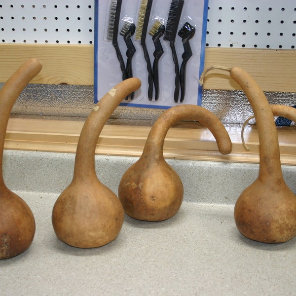 Short Handle Dipper gourds group of 5