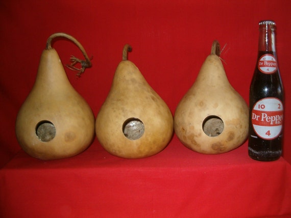 Group of 10 - 6 inch Birdhouse Gourds Entrance hole 1-1/4 inch