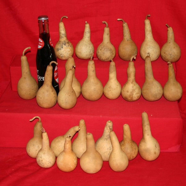 50  Mini Long Handle Dipper  Gourds ( Dried & Cleaned)