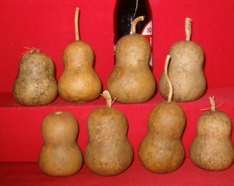 15 Small Mini Chinese Botttle Gourds ( Dried & Cleaned)