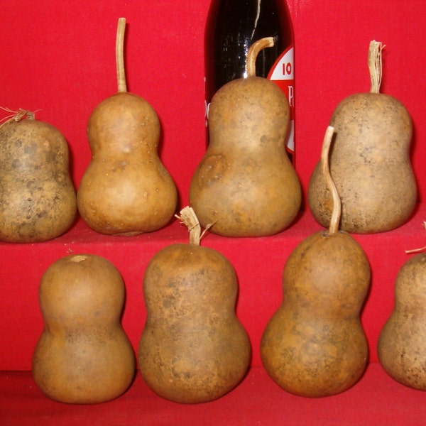 25 Medium Mini Chinese Botttle Gourds ( Dried & Cleaned)