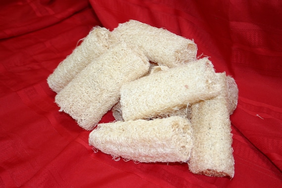 LOOFAH sponges 6" pieces all natural and grown on the farm group of 5 ( Dried & Cleaned)