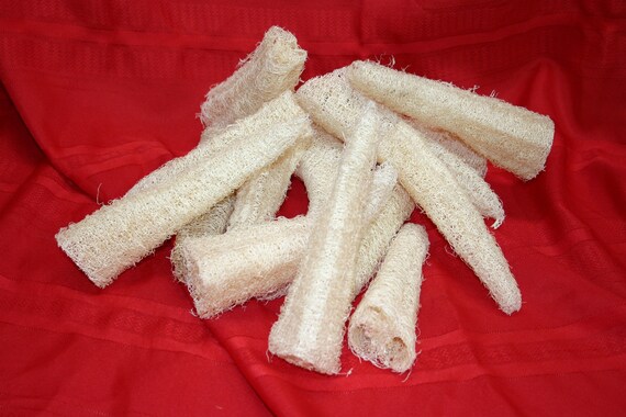 LOOFAH sponges all natural and grown on the farm END PIECES ( Dried & Cleaned)