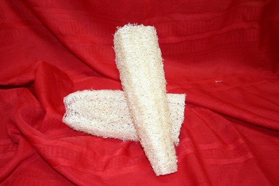 LOOFAH sponges 8" pieces all natural and grown on the farm group of 5 ( Dried & Cleaned)