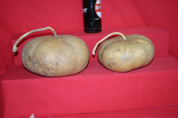 Group of 5 Canteen Gourds ( 5" up to 6-3/4")