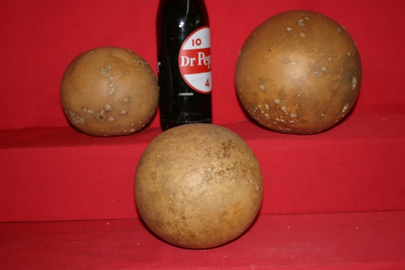 9 -  Second Quality Cannon Ball  Gourds ( Dried & Cleaned)