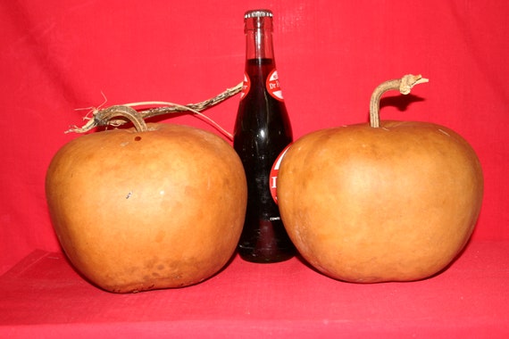 3 - Apple  Gourds ( Dried & Cleaned)