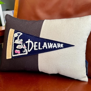 Pennant Pillow American Roadtrip, Delaware