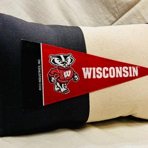 Pennant Pillow American Roadtrip Wisconsin Badgers Decorative pillow