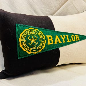 American Roadtrip Pennant Pillow, Vintage Baylor - decorative pillow