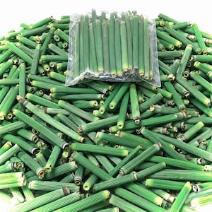 Könnte beinhalten: Eine große Ansammlung kurzer, grüner, zylindrischer Pflanzenstängel mit gerippter Textur und hohlen Zentren. Ein Teil dieser Stängel befindet sich in einem durchsichtigen Plastikbeutel, während der Rest darunter in einem Haufen verstreut ist.