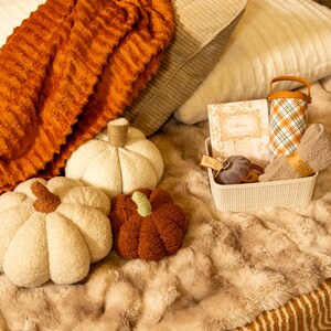 May include: A collection of three plush pumpkins in cream and brown, a textured orange throw blanket, and a white plastic basket containing a notebook, a plaid thermos, and a folded beige fabric item on a faux fur surface.