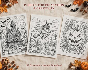 May include: Three rectangular white coloring pages featuring black line art illustrations. The left page shows a haunted house, the center page depicts a witch flying on a broomstick over pumpkins, and the right page features a large jack-o'-lantern.